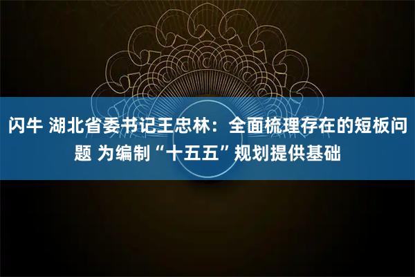 闪牛 湖北省委书记王忠林：全面梳理存在的短板问题 为编制“十五五”规划提供基础