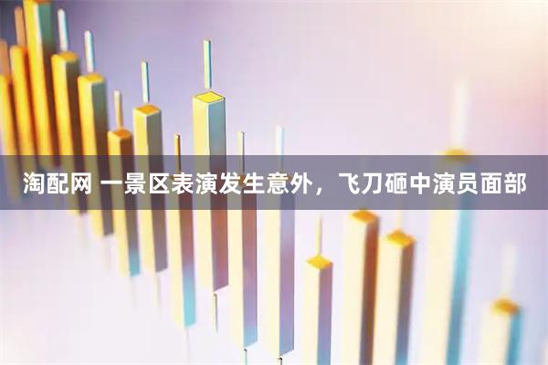 淘配网 一景区表演发生意外，飞刀砸中演员面部