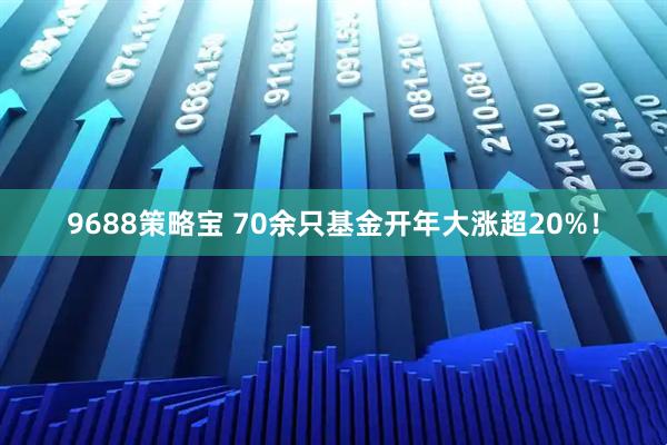 9688策略宝 70余只基金开年大涨超20%！