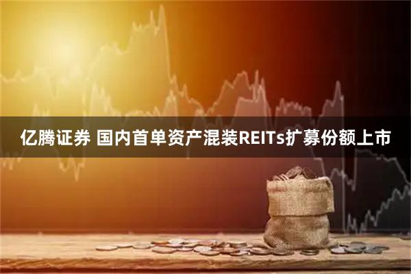 亿腾证券 国内首单资产混装REITs扩募份额上市