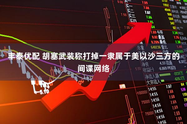 丰泰优配 胡塞武装称打掉一隶属于美以沙三方的间谍网络