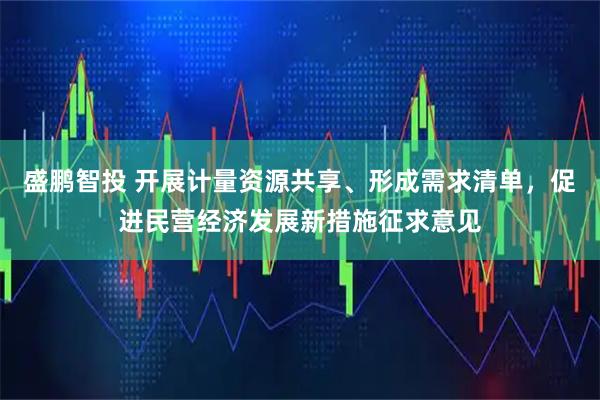 盛鹏智投 开展计量资源共享、形成需求清单，促进民营经济发展新措施征求意见