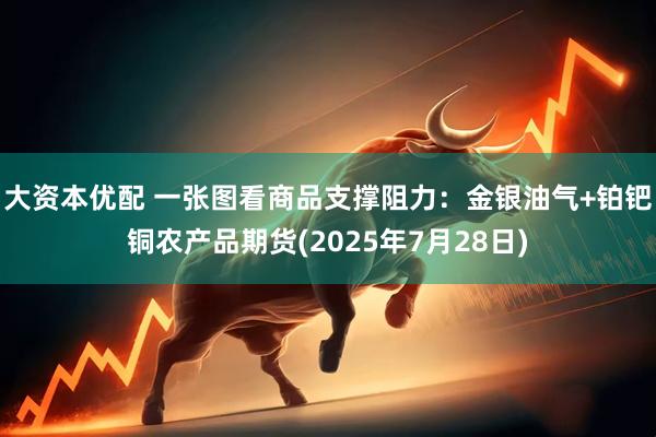 大资本优配 一张图看商品支撑阻力：金银油气+铂钯铜农产品期货(2025年7月28日)